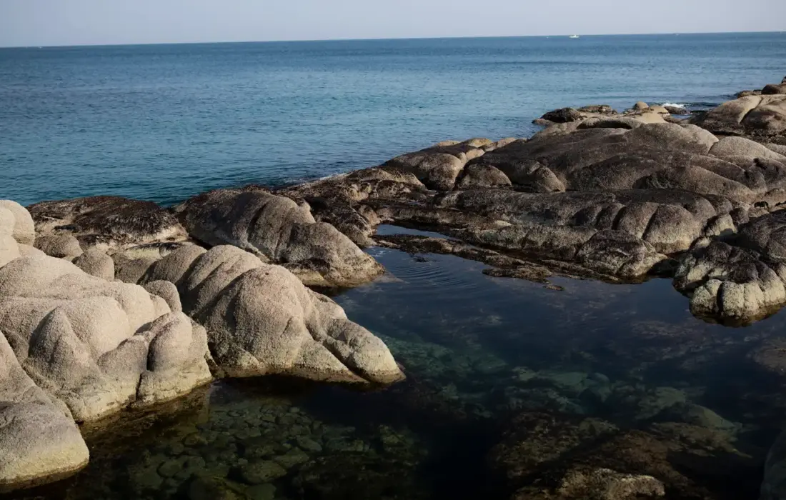 Rochers et eau claire peu profonde sur une cote mediterraneenne