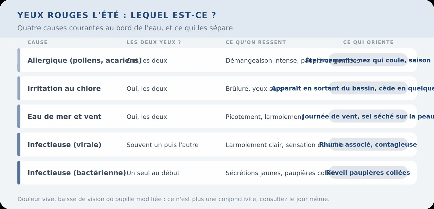 Quatre causes d’yeux rouges au bord de l’eau
