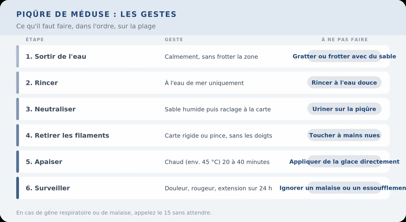 Piqûre de méduse : les gestes dans l&rsquo;ordre