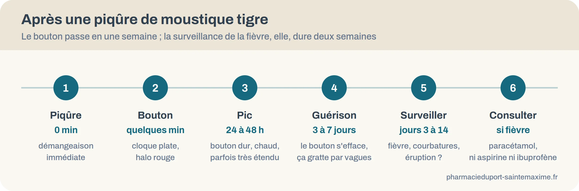 Chronologie d'une piqûre de moustique tigre, du bouton à la fenêtre de surveillance de la fièvre