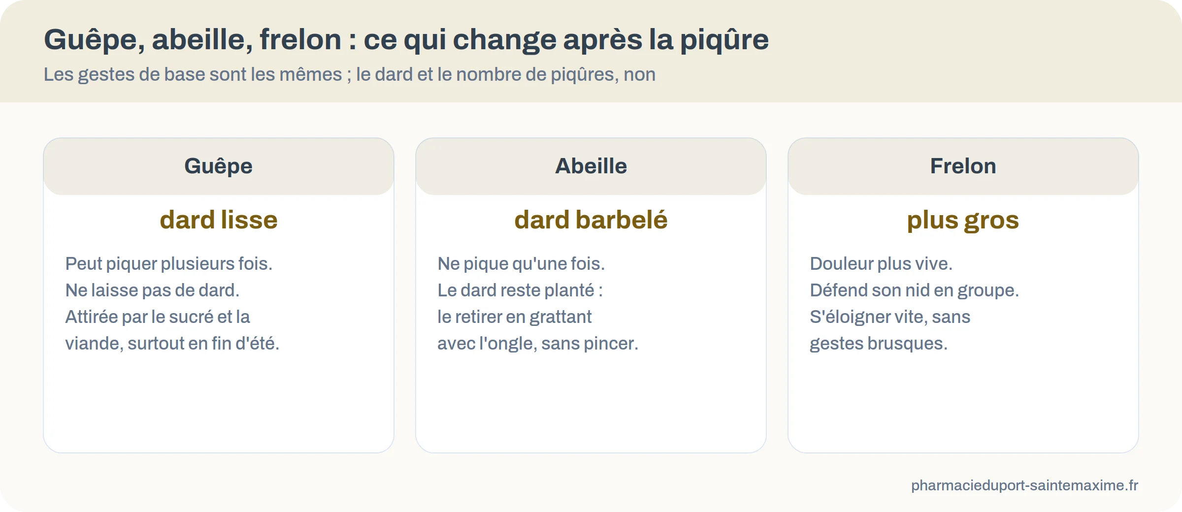 Comparatif des piqûres de guêpe, d'abeille et de frelon