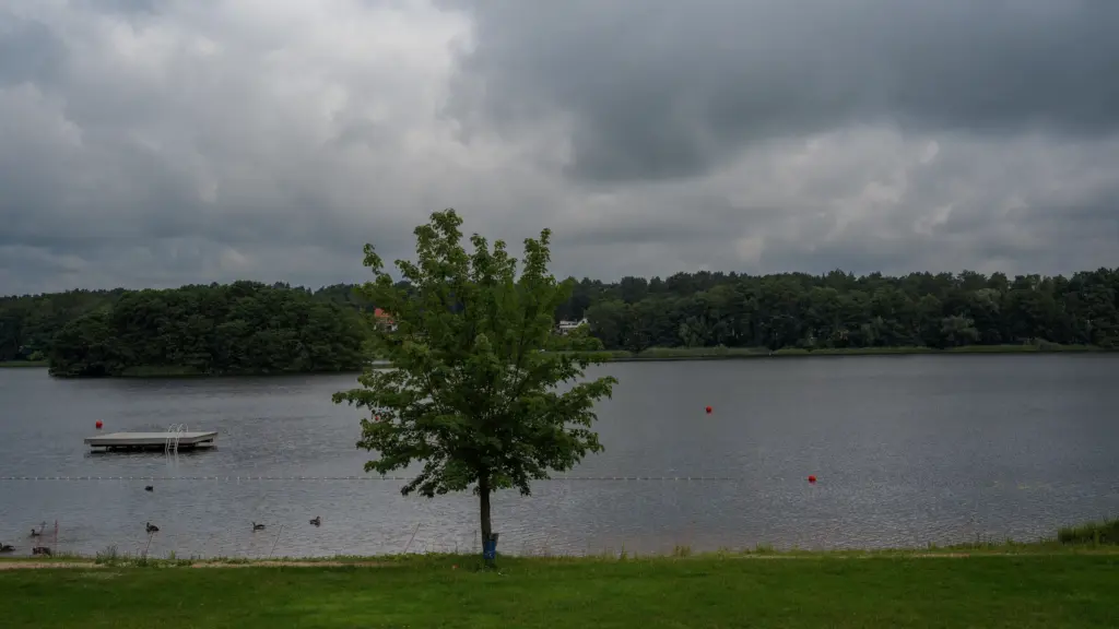 Plage de lac surveillée, avec des canards près de la zone de baignade