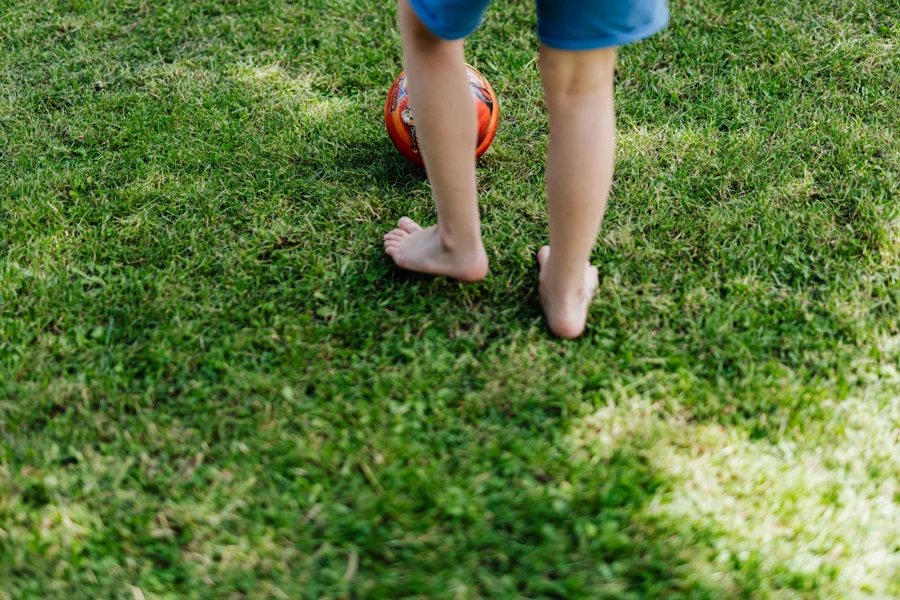 Jambes d'un enfant pieds nus sur une pelouse, zone où les larves d'aoûtat se fixent