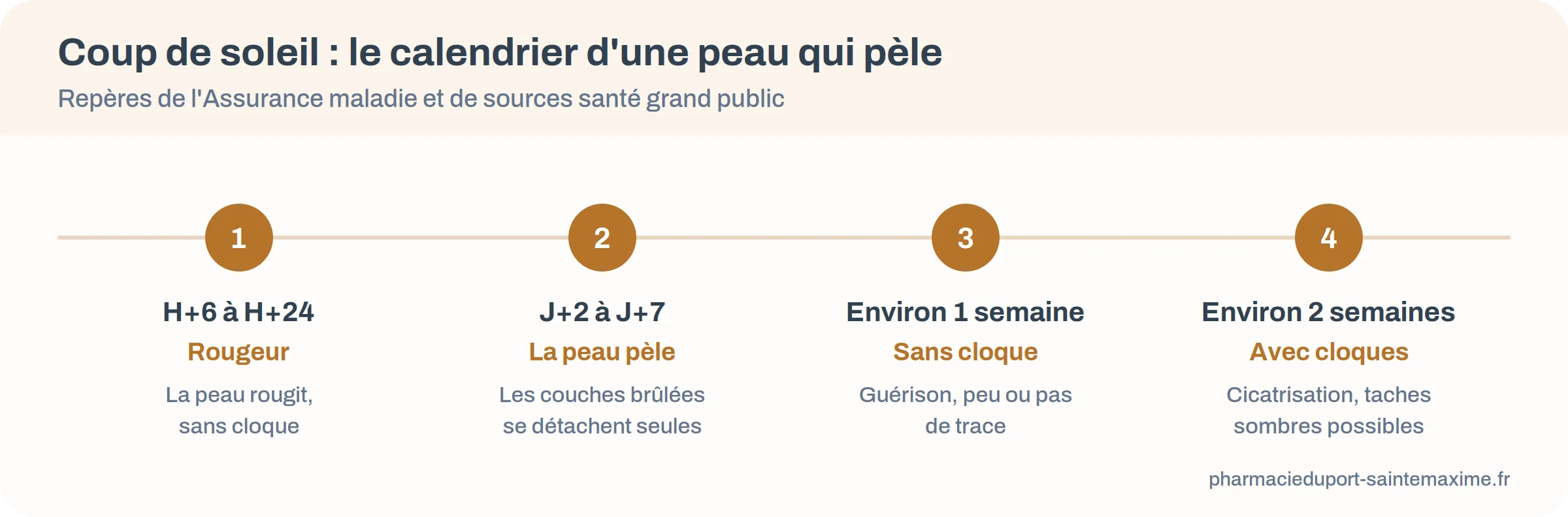 Frise : rougeur de 6 à 24 heures, desquamation de 2 à 7 jours, guérison en une semaine sans cloque, deux semaines avec cloques