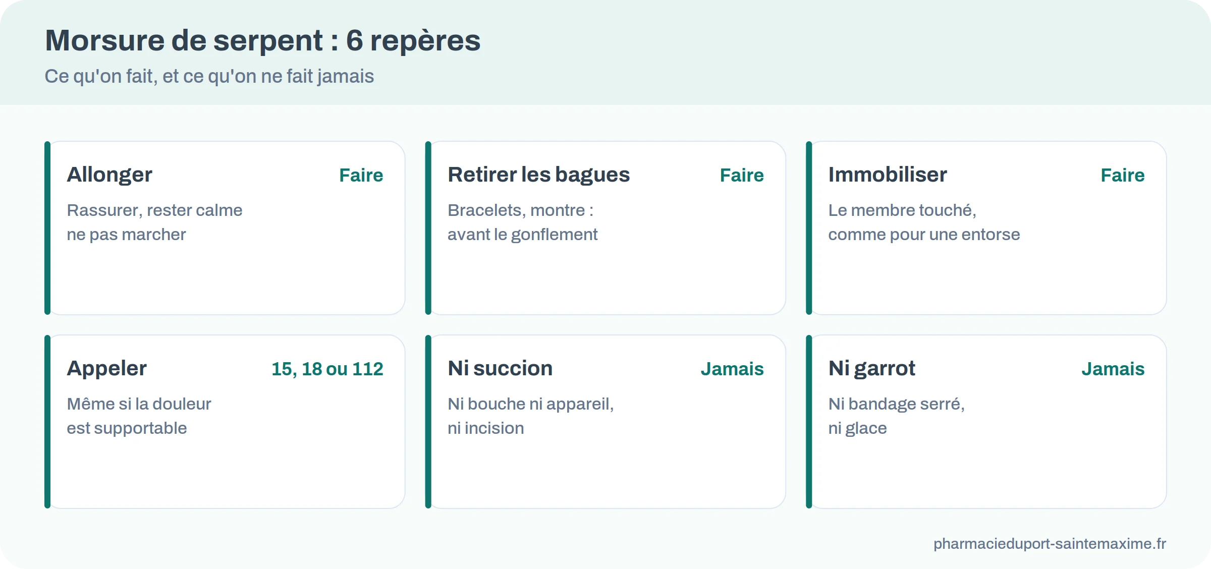 Quatre gestes à faire après une morsure de serpent et deux familles de gestes interdits