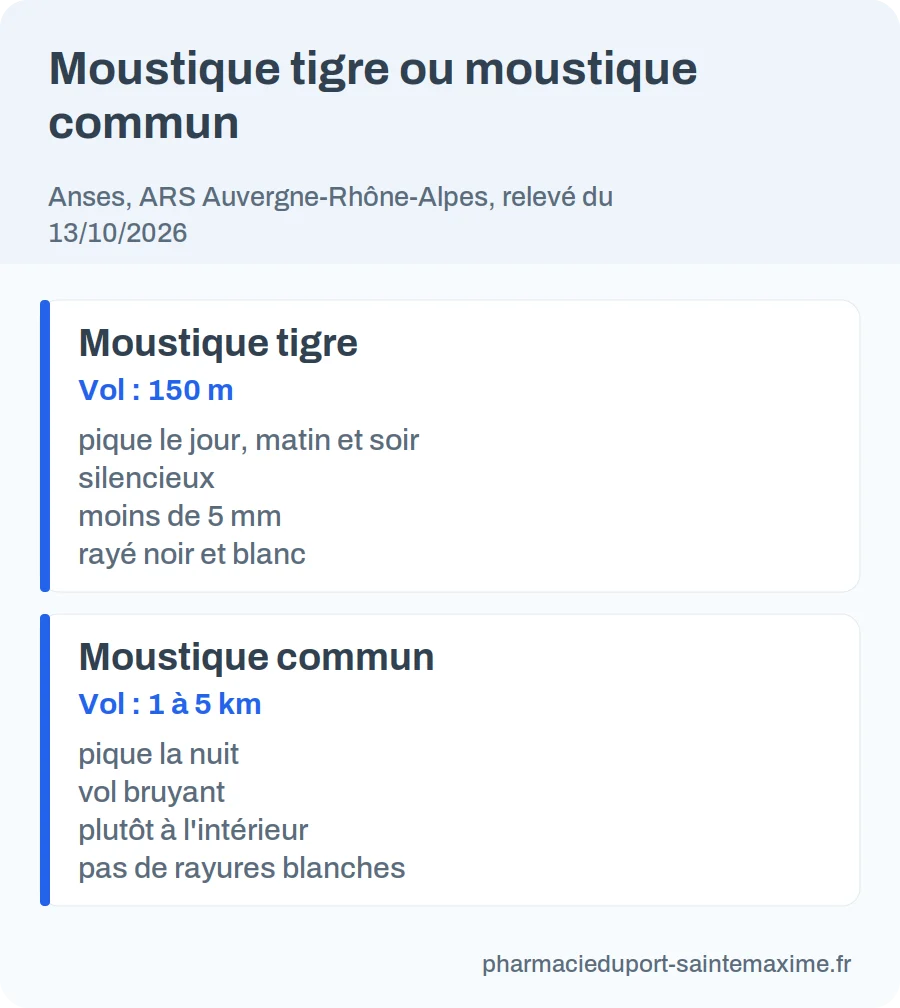 Deux colonnes comparant le moustique tigre et le moustique commun : horaire, bruit, taille, vol
